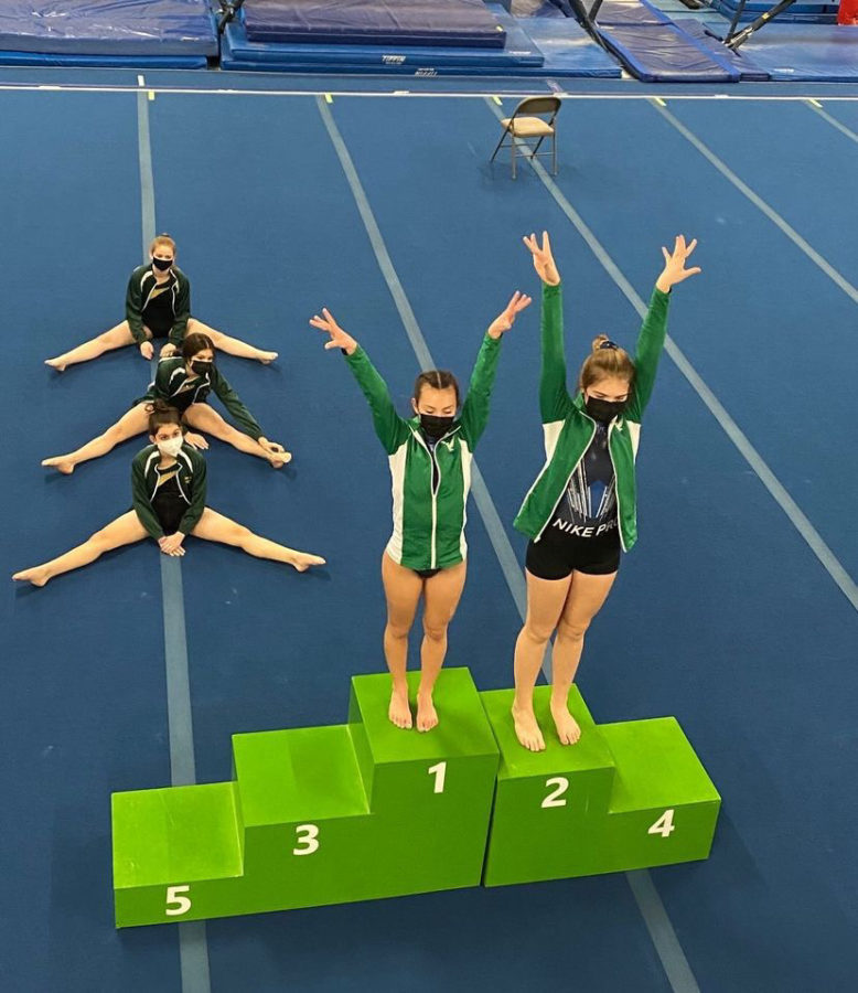 Girls gymnastics seek recognition