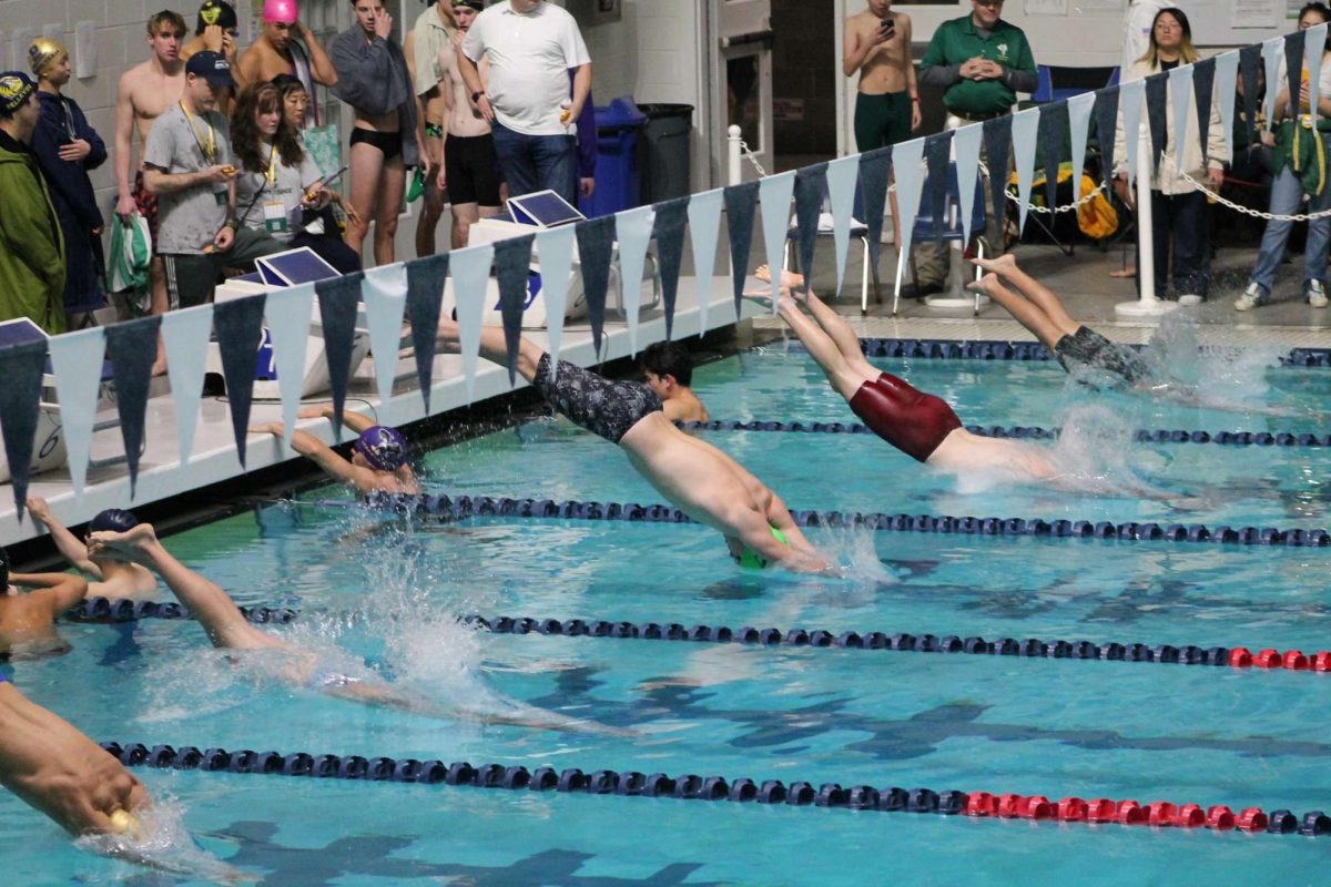 Shorewood swimmers jump off the blocks at the start of a race 